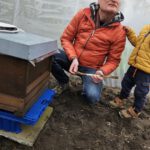 Einzug Bienenvolk von Bienen-leben-in-Bamberg.de zur Bio-Gärtnerei Niedermaier