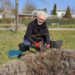 Frühjahrsputz im Bienengarten Bamberg