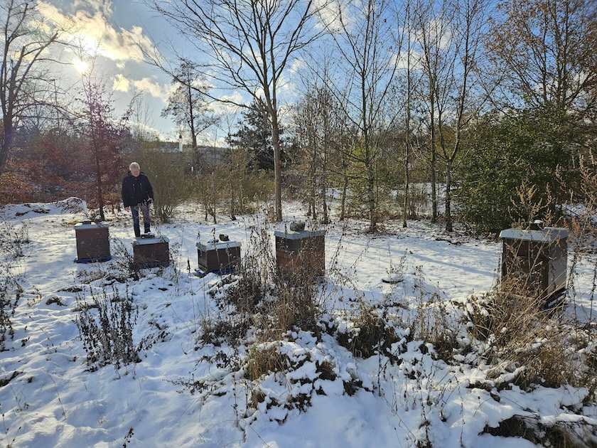 Lehrbienenstand "Bienenweg" im Winterkleid
