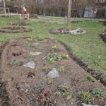 Frühjahrsputz im Bienengarten Bamberg