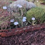 Bienengarten Beeteinfassung