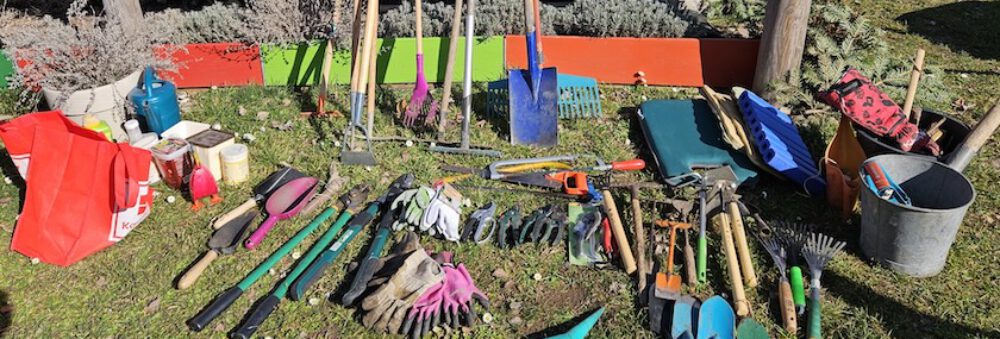 bienen-leben-in-bamberg.de