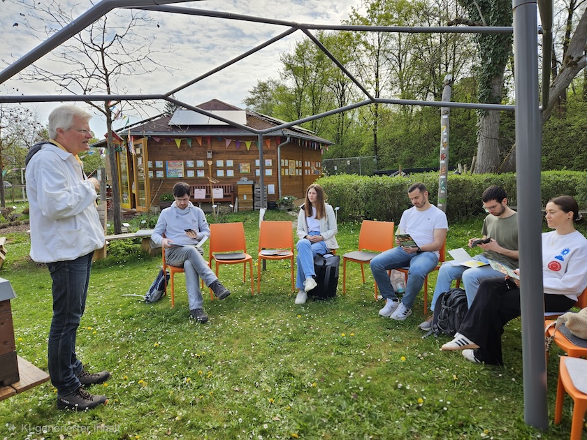 AK26 Modul 4 und Modul 5 im Imkeranfängerkurs von Bienen-leben-in-Bamberg.de zu Honigraumerweiterung, Ablegerbildung; Schwarmverhinderung durch Weiselzellenkontrolle und Drohnenbrutschneiden