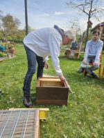 AK26 Modul 4 und Modul 5 im Imkeranfängerkurs von Bienen-leben-in-Bamberg.de zu Honigraumerweiterung, Ablegerbildung; Schwarmverhinderung durch Weiselzellenkontrolle und Drohnenbrutschneiden