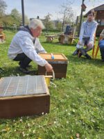 AK26 Modul 4 und Modul 5 im Imkeranfängerkurs von Bienen-leben-in-Bamberg.de zu Honigraumerweiterung, Ablegerbildung; Schwarmverhinderung durch Weiselzellenkontrolle und Drohnenbrutschneiden