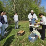 AK26 Modul 4 und Modul 5 im Imkeranfängerkurs von Bienen-leben-in-Bamberg.de zu Honigraumerweiterung, Ablegerbildung; Schwarmverhinderung durch Weiselzellenkontrolle und Drohnenbrutschneiden