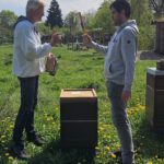 AK26 Modul 4 und Modul 5 im Imkeranfängerkurs von Bienen-leben-in-Bamberg.de zu Honigraumerweiterung, Ablegerbildung; Schwarmverhinderung durch Weiselzellenkontrolle und Drohnenbrutschneiden