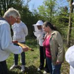 AK26 Modul 4 und Modul 5 im Imkeranfängerkurs von Bienen-leben-in-Bamberg.de zu Honigraumerweiterung, Ablegerbildung; Schwarmverhinderung durch Weiselzellenkontrolle und Drohnenbrutschneiden