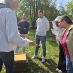 AK26 Modul 4 und Modul 5 im Imkeranfängerkurs von Bienen-leben-in-Bamberg.de zu Honigraumerweiterung, Ablegerbildung; Schwarmverhinderung durch Weiselzellenkontrolle und Drohnenbrutschneiden