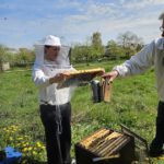 AK26 Modul 4 und Modul 5 im Imkeranfängerkurs von Bienen-leben-in-Bamberg.de zu Honigraumerweiterung, Ablegerbildung; Schwarmverhinderung durch Weiselzellenkontrolle und Drohnenbrutschneiden