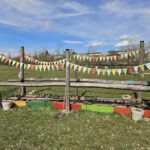 Saison-Eröffnung der Bienen-InfoWabe 2026 am Ostersonntag