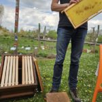 AK26 Modul 4 und Modul 5 im Imkeranfängerkurs von Bienen-leben-in-Bamberg.de zu Honigraumerweiterung, Ablegerbildung; Schwarmverhinderung durch Weiselzellenkontrolle und Drohnenbrutschneiden