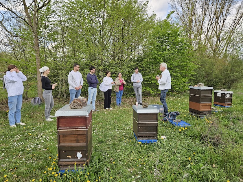 AK26 Modul 4 und Modul 5 im Imkeranfängerkurs von Bienen-leben-in-Bamberg.de zu Honigraumerweiterung, Ablegerbildung; Schwarmverhinderung durch Weiselzellenkontrolle und Drohnenbrutschneiden