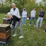 AK26 Modul 4 und Modul 5 im Imkeranfängerkurs von Bienen-leben-in-Bamberg.de zu Honigraumerweiterung, Ablegerbildung; Schwarmverhinderung durch Weiselzellenkontrolle und Drohnenbrutschneiden