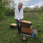 AK26 Modul 4 und Modul 5 im Imkeranfängerkurs von Bienen-leben-in-Bamberg.de zu Honigraumerweiterung, Ablegerbildung; Schwarmverhinderung durch Weiselzellenkontrolle und Drohnenbrutschneiden