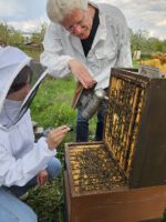 AK26 Modul 4 und Modul 5 im Imkeranfängerkurs von Bienen-leben-in-Bamberg.de zu Honigraumerweiterung, Ablegerbildung; Schwarmverhinderung durch Weiselzellenkontrolle und Drohnenbrutschneiden