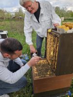 AK26 Modul 4 und Modul 5 im Imkeranfängerkurs von Bienen-leben-in-Bamberg.de zu Honigraumerweiterung, Ablegerbildung; Schwarmverhinderung durch Weiselzellenkontrolle und Drohnenbrutschneiden