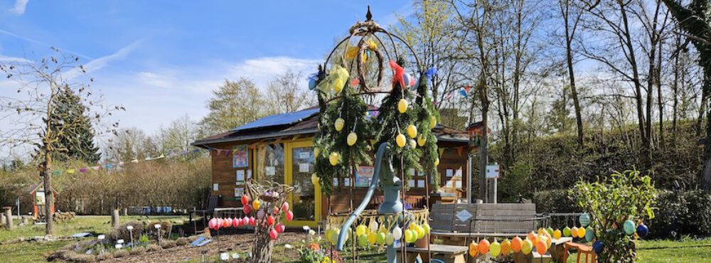 bienen-leben-in-bamberg.de