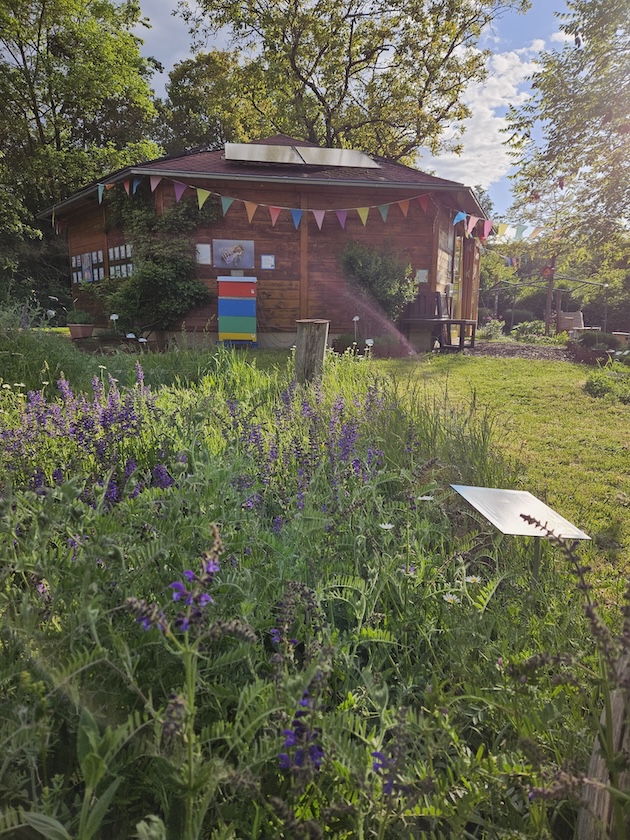 Bienen-InfoWabe mit Blühwiese im Bamberger Bienengarten
