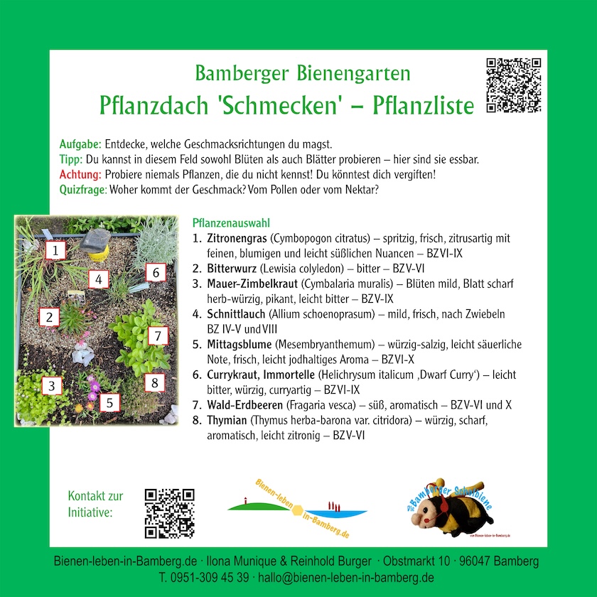 Infotafel zum Pflanzdach "Schmecken" – Pflanzliste an den Gartenboxen der Bienen-InfoWabe