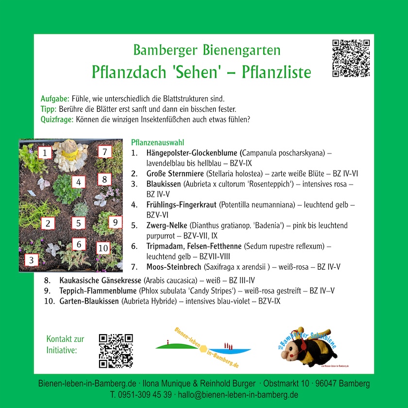 Infotafel zum Pflanzdach "Sehen" – Pflanzliste an den Gartenboxen der Bienen-InfoWabe