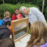 Grundschule Forchheim-Reuth, Klasse 3b zum Schulbienen-Unterricht / Schulbienenführung in der Bienen-InfoWabe, Bienen-leben-in-Bamberg.de