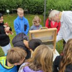 Grundschule Forchheim-Reuth, Klasse 3b zum Schulbienen-Unterricht / Schulbienenführung in der Bienen-InfoWabe, Bienen-leben-in-Bamberg.de