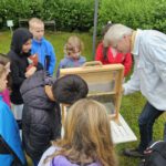 Grundschule Forchheim-Reuth, Klasse 3b zum Schulbienen-Unterricht / Schulbienenführung in der Bienen-InfoWabe, Bienen-leben-in-Bamberg.de