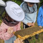 Grundschule Forchheim-Reuth, Klasse 3b zum Schulbienen-Unterricht / Schulbienenführung in der Bienen-InfoWabe, Bienen-leben-in-Bamberg.de