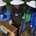 Grundschule Forchheim-Reuth, Klasse 3b zum Schulbienen-Unterricht / Schulbienenführung in der Bienen-InfoWabe, Bienen-leben-in-Bamberg.de