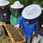 Grundschule Forchheim-Reuth, Klasse 3b zum Schulbienen-Unterricht / Schulbienenführung in der Bienen-InfoWabe, Bienen-leben-in-Bamberg.de