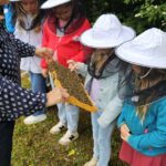 Grundschule Forchheim-Reuth, Klasse 3b zum Schulbienen-Unterricht / Schulbienenführung in der Bienen-InfoWabe, Bienen-leben-in-Bamberg.de