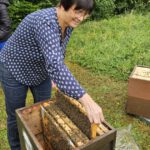 Grundschule Forchheim-Reuth, Klasse 3b zum Schulbienen-Unterricht / Schulbienenführung in der Bienen-InfoWabe, Bienen-leben-in-Bamberg.de