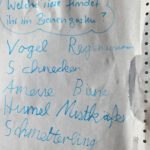 Grundschule Forchheim-Reuth, Klasse 3b zum Schulbienen-Unterricht / Schulbienenführung in der Bienen-InfoWabe, Bienen-leben-in-Bamberg.de