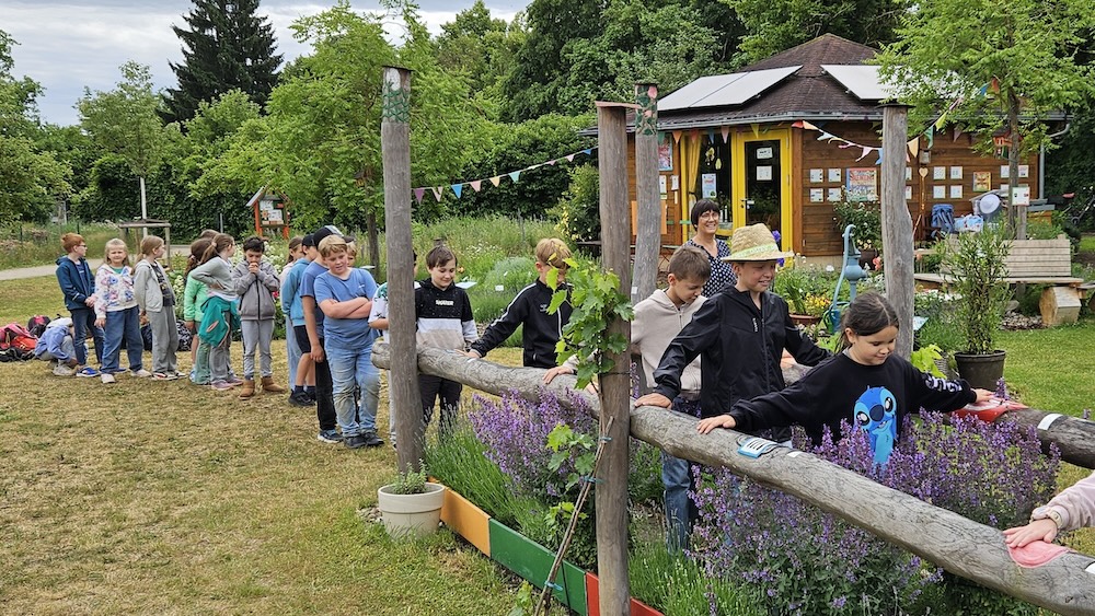 Grundschule Forchheim-Reuth, Klasse 3a zum Schulbienen-Unterricht / Schulbienenführung in der Bienen-InfoWabe, Bienen-leben-in-Bamberg.de