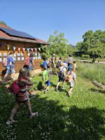 Wiesenhort Bamberg Bug, Klassen 1-4 zum Schulbienen-Unterricht / Schulbienenführung in der Bienen-InfoWabe, Bienen-leben-in-Bamberg.de