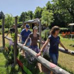 Wiesenhort Bamberg Bug, Klassen 1-4 zum Schulbienen-Unterricht / Schulbienenführung in der Bienen-InfoWabe, Bienen-leben-in-Bamberg.de