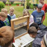 Grundschule Forchheim-Reuth, Klasse 3a zum Schulbienen-Unterricht / Schulbienenführung in der Bienen-InfoWabe, Bienen-leben-in-Bamberg.de