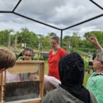 Grundschule Forchheim-Reuth, Klasse 3a zum Schulbienen-Unterricht / Schulbienenführung in der Bienen-InfoWabe, Bienen-leben-in-Bamberg.de