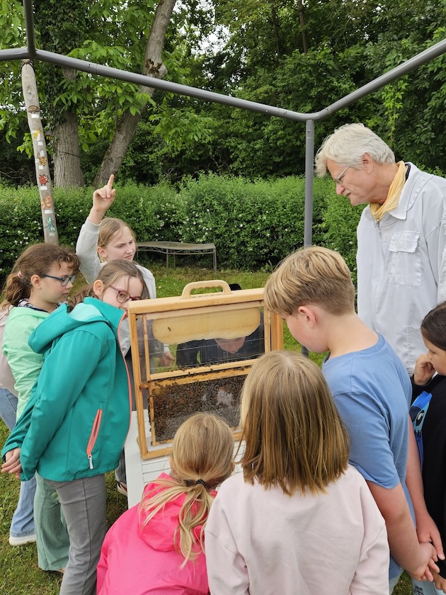 Grundschule Forchheim-Reuth, Klasse 3a zum Schulbienen-Unterricht / Schulbienenführung in der Bienen-InfoWabe, Bienen-leben-in-Bamberg.de