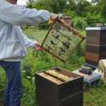 Grundschule Forchheim-Reuth, Klasse 3a zum Schulbienen-Unterricht / Schulbienenführung in der Bienen-InfoWabe, Bienen-leben-in-Bamberg.de