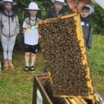 Grundschule Forchheim-Reuth, Klasse 3a zum Schulbienen-Unterricht / Schulbienenführung in der Bienen-InfoWabe, Bienen-leben-in-Bamberg.de