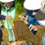 Grundschule Forchheim-Reuth, Klasse 3a zum Schulbienen-Unterricht / Schulbienenführung in der Bienen-InfoWabe, Bienen-leben-in-Bamberg.de
