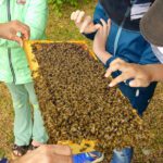 Grundschule Forchheim-Reuth, Klasse 3a zum Schulbienen-Unterricht / Schulbienenführung in der Bienen-InfoWabe, Bienen-leben-in-Bamberg.de