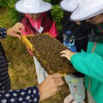 Grundschule Forchheim-Reuth, Klasse 3a zum Schulbienen-Unterricht / Schulbienenführung in der Bienen-InfoWabe, Bienen-leben-in-Bamberg.de