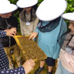Grundschule Forchheim-Reuth, Klasse 3a zum Schulbienen-Unterricht / Schulbienenführung in der Bienen-InfoWabe, Bienen-leben-in-Bamberg.de