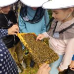 Grundschule Forchheim-Reuth, Klasse 3a zum Schulbienen-Unterricht / Schulbienenführung in der Bienen-InfoWabe, Bienen-leben-in-Bamberg.de