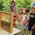 Wiesenhort Bamberg Bug, Klassen 1-4 zum Schulbienen-Unterricht / Schulbienenführung in der Bienen-InfoWabe, Bienen-leben-in-Bamberg.de
