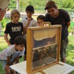 Wiesenhort Bamberg Bug, Klassen 1-4 zum Schulbienen-Unterricht / Schulbienenführung in der Bienen-InfoWabe, Bienen-leben-in-Bamberg.de