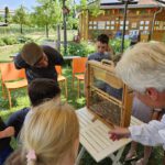 Wiesenhort Bamberg Bug, Klassen 1-4 zum Schulbienen-Unterricht / Schulbienenführung in der Bienen-InfoWabe, Bienen-leben-in-Bamberg.de
